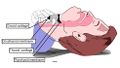 Thumbnail for version as of 11:18, 10 February 2018
