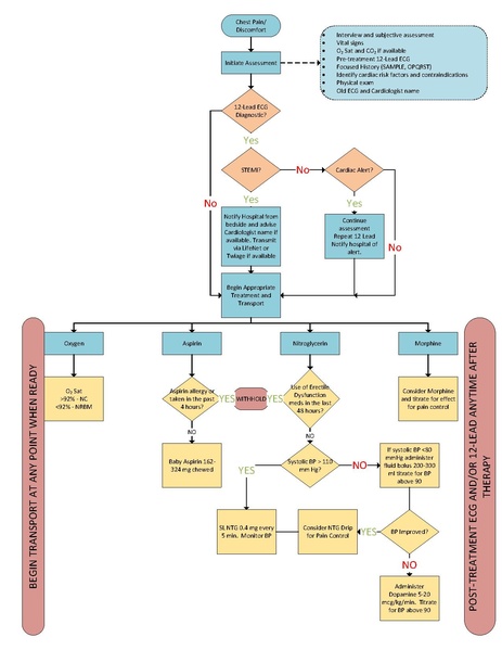 File:Chest Pain Flowchart 2020-10-22.pdf