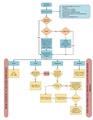 Chest Pain Flowchart 2020-10-22.pdf