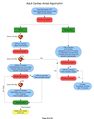 Adult Cardiac Arrest Flowchart.jpg